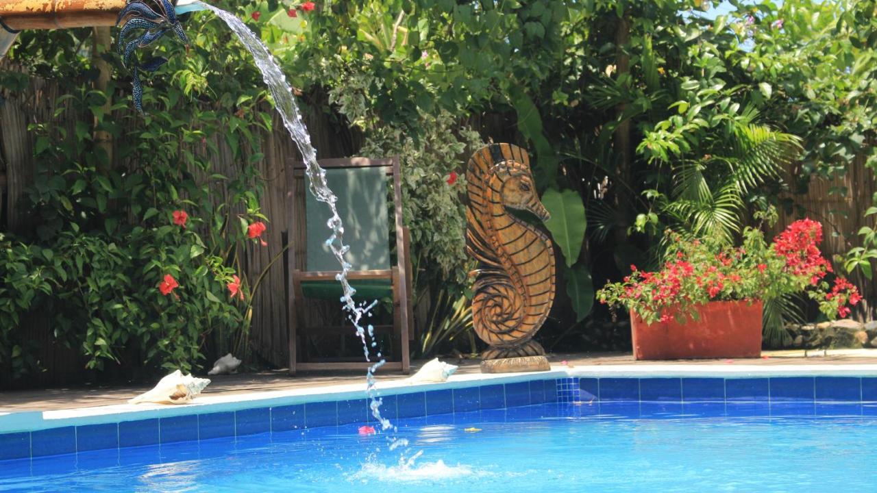 La Natura Hostel & Pool Palomino Exterior photo