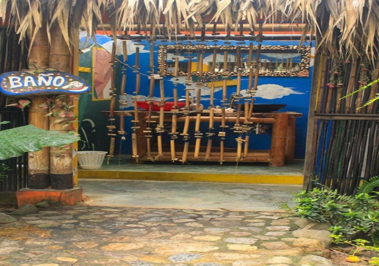 La Natura Hostel & Pool Palomino Exterior photo
