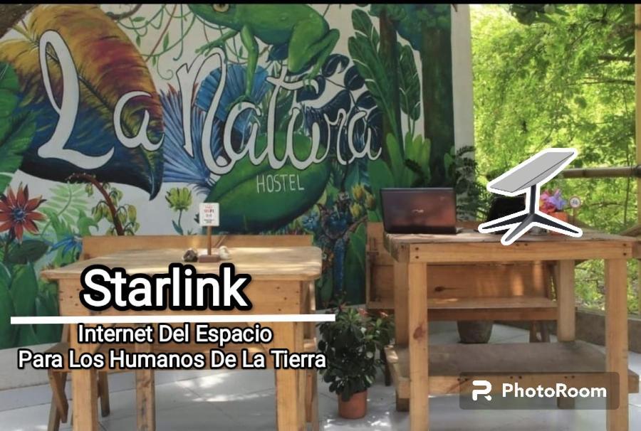 La Natura Hostel & Pool Palomino Exterior photo