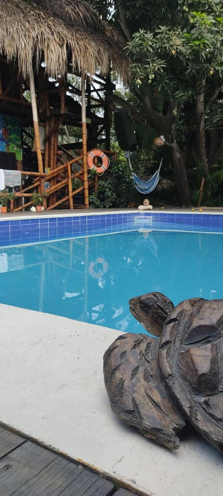 La Natura Hostel & Pool Palomino Exterior photo