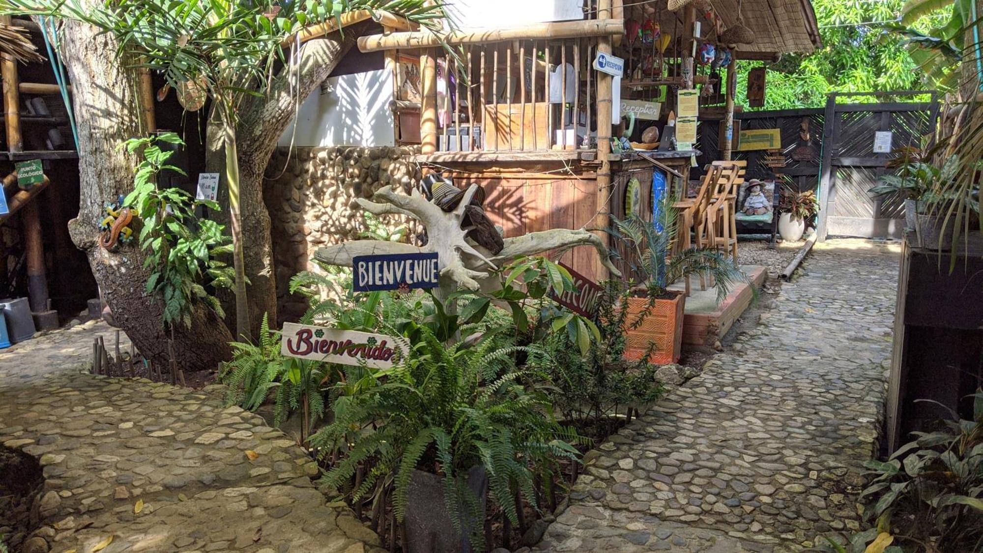 La Natura Hostel & Pool Palomino Exterior photo